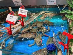 -必点海鲜·鲅鱼水饺(鞍山西道店)