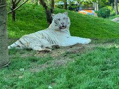 -北京野生动物园