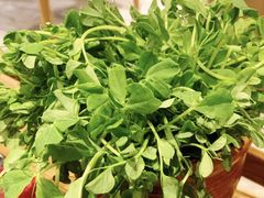 -牛村来人潮汕牛肉火锅(西单店)