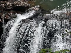 -广州白江湖森林公园