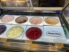 -哈根达斯(龙湖时代天街店)