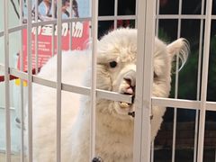 -天河城购物中心