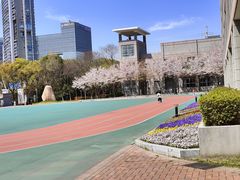 -金陵中学(河西分校)