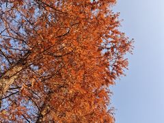 -狼山风景名胜区