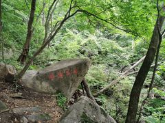 -三块石国家森林公园