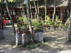 -土砂锅生态山庄·非遗砂锅雅鱼