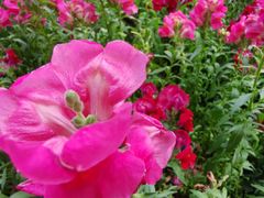 -长春公园(普阳街道)