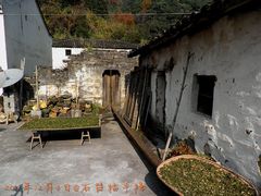 -祁门牯牛降观音堂风景区