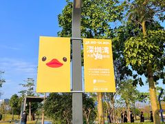 -深圳人才公园