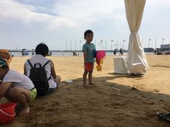 -碧海金沙