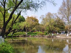 -瀛洲公园