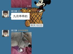 -半岛宠物医院24小时·内窥镜·牙科·碎石中心(府城大道店)