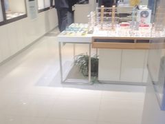 -爱视眼镜(贵州路店)