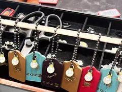 -COACH蔻驰(星光68广场店)