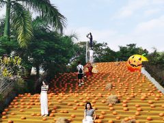 -灵玲国际马戏城