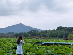 -英西峰林·洞天仙境