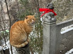 -终南山南五台景区