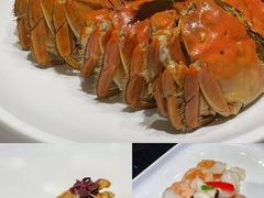 -富淳饭店(世纪公园店)