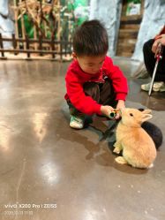 -Zoolung Zoolung动物主题公园(海信广场店)