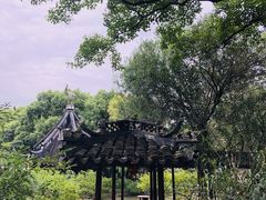 -上海醉白池公园