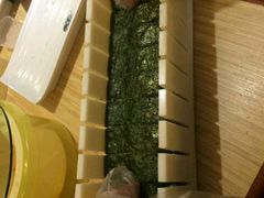 -友壹町寿司·料理(三水广场店)