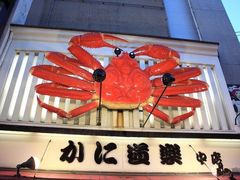 -蟹道乐(道顿堀本店)
