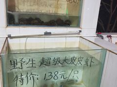 -海盗餐厅