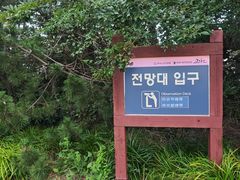 -柱状节理带