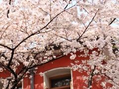 -浙江省杭州高级中学(贡院校区)