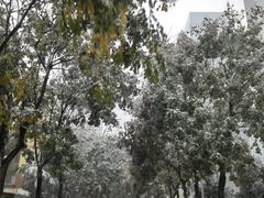 -都江堰石锅鱼