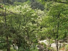 -沂蒙山旅游区云蒙景区(蒙山国家森林公园)