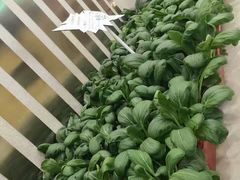 -东湖食堂·湖景餐厅•会议