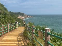-广东惠东海龟国家级自然保护区