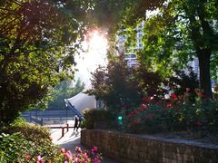 -苏州河梦清园环保主题公园