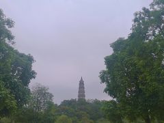 -顺峰山公园