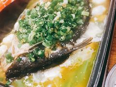 -金厨帽烤鱼(芦庄店)