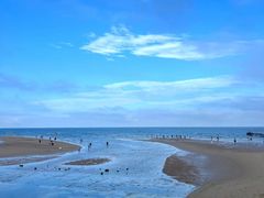 -日照海滨国家森林公园