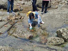 -青岛第二海水浴场