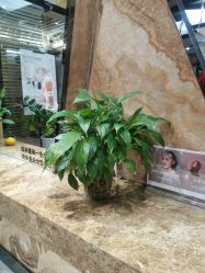 -永琪美容美发全国直营连锁