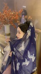 点击看大图 -盘子女人坊古装写真摄影(南京总店)