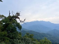 -青城山