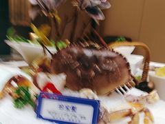 -帝皇海海鲜豆捞(桐泾商务广场店)