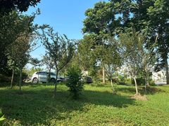 -桤木河湿地公园