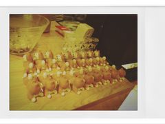 -柴务处·柴犬主题狗咖