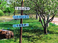 -圣露庄园·露营·烤肉·亲子