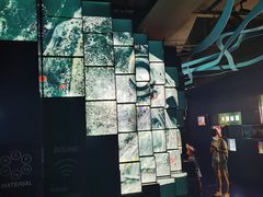 -同济大学四平路校区深海探索馆
