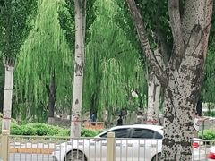 -满都海公园
