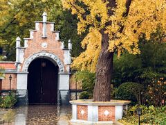 -紫金宾馆1910紫色勋章