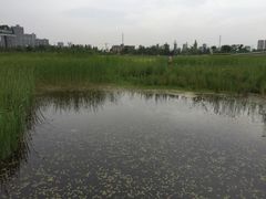 -骏途旅游