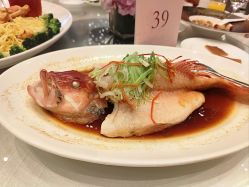 -深圳中洲万豪酒店·宴会厅